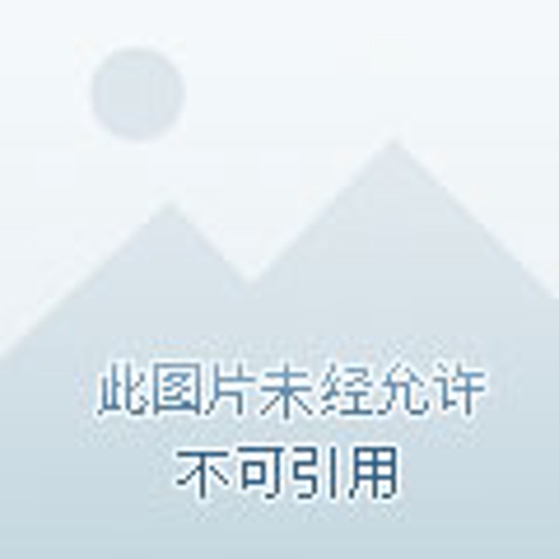 九江贸易吉盛有限公司主营哪些产品?这是一个值得关注的问题。